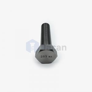 DIN 933 M24x100-AISI  253 MA